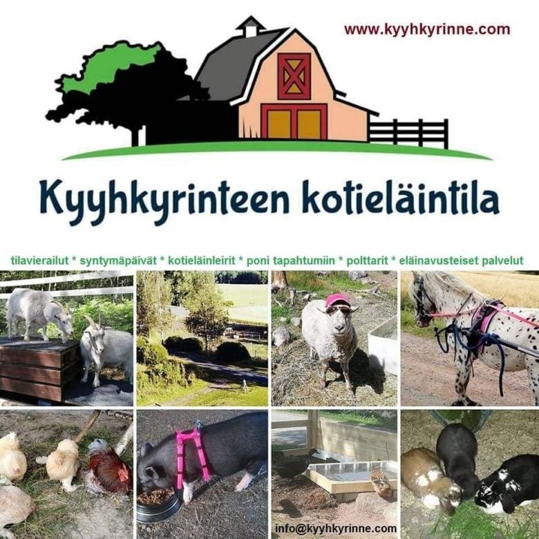 Kyyhkyrinteen kotieläintilan mainos