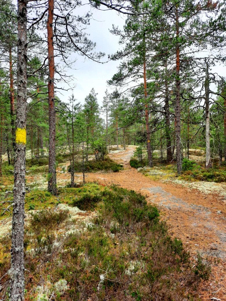 Luontopolkuja