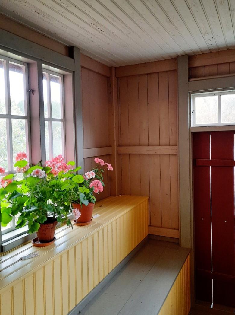 Pelargonioita Nautelankosken myllärintuvalla