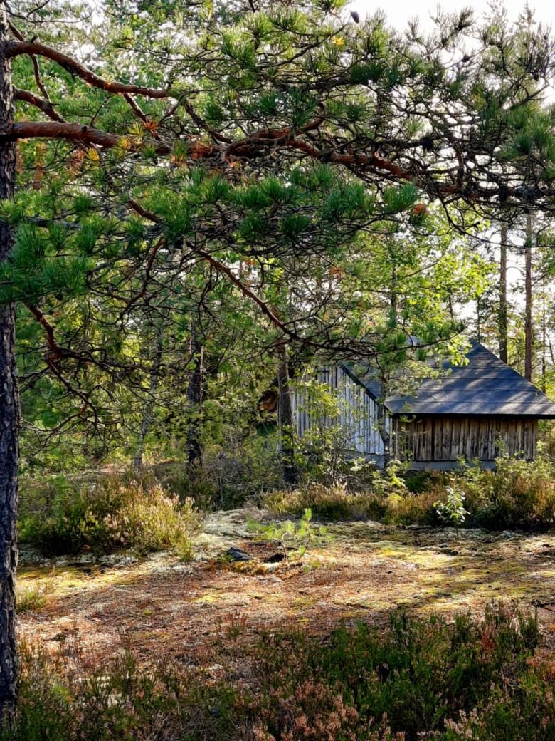 Tornivuoren laavu