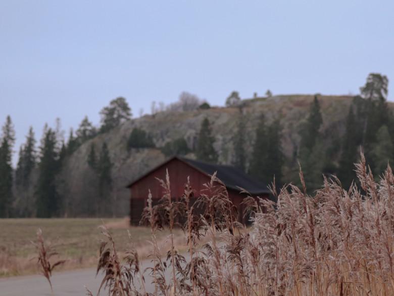 Maisemaa Liedon Vanhalinnasta
