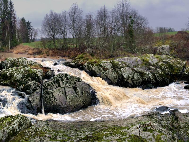 Knaapinkoski Tarvasjoella