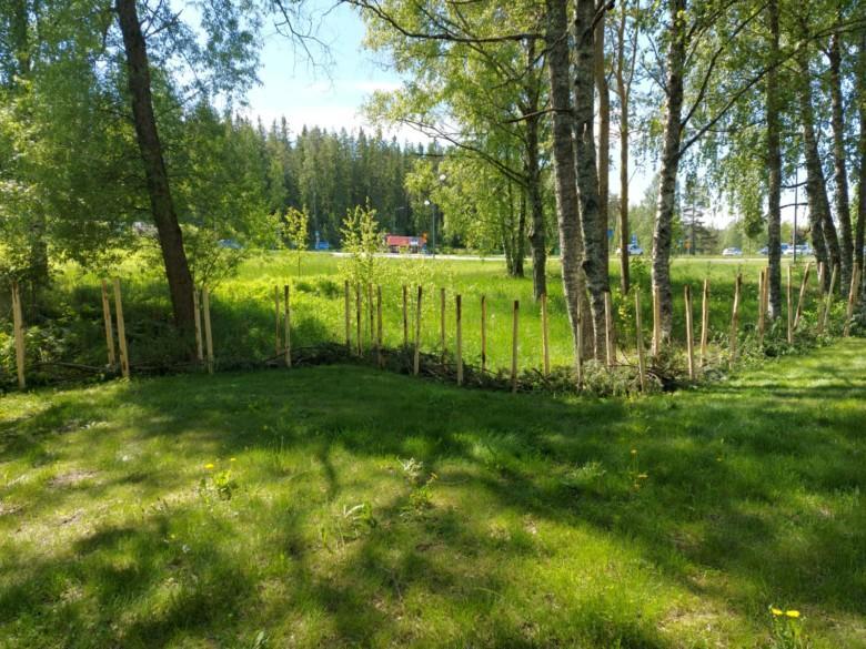 Liedon Hanhiojan puistossa.