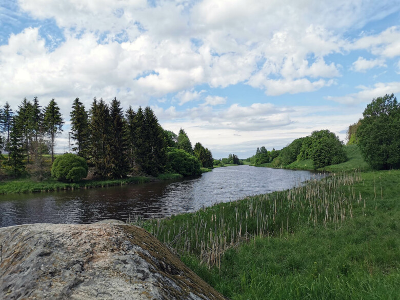 Aurajokirannan vihreää kesämaisemaa.