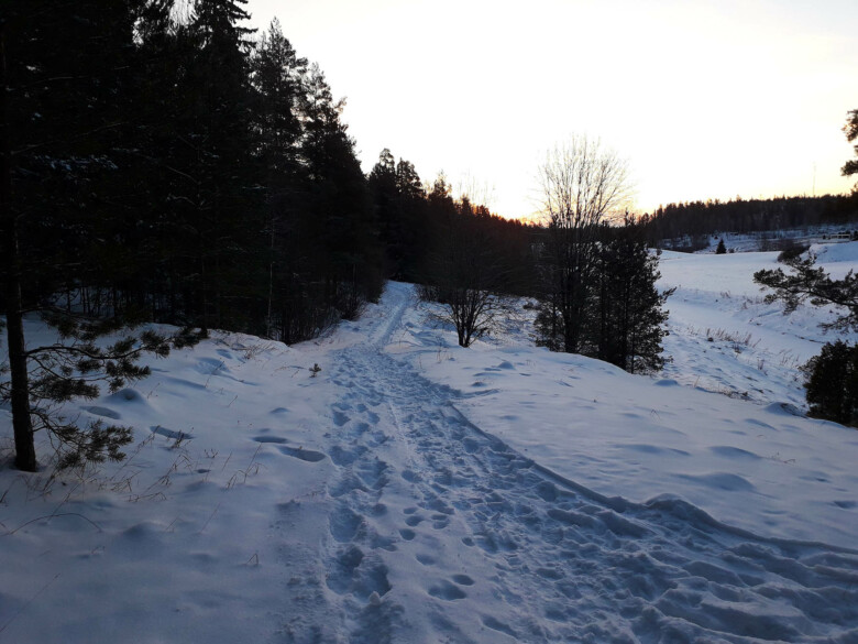 Talvinen jokirannan maisema.