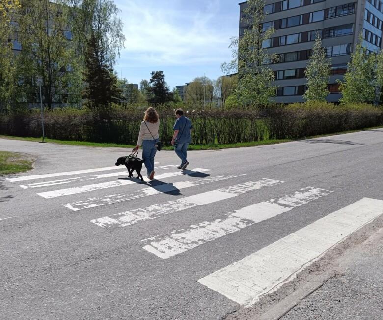 Kaksi henkilöä ylittää suojatietä. Toisella heistä on opaskoira mukanaan.