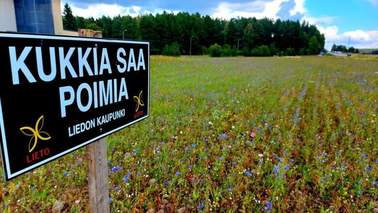 Niittykukkaniitty, kyltti Kukkia saa poimia Liedon Kaupunki.